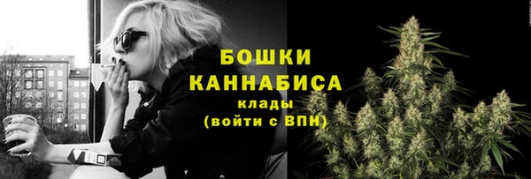 ГАЛЛЮЦИНОГЕННЫЕ ГРИБЫ Нязепетровск