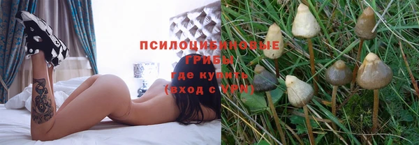 молекула духа Аркадак