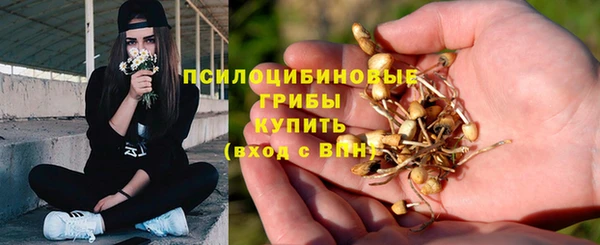 молекула духа Аркадак