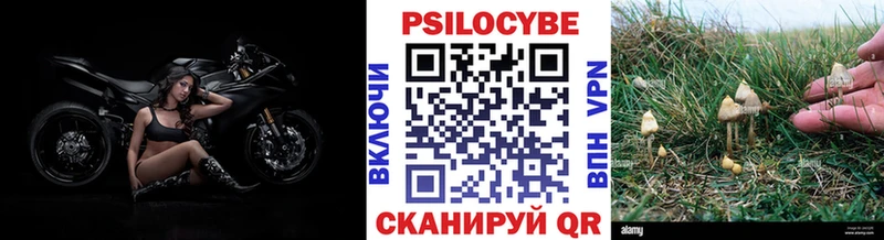 Псилоцибиновые грибы Magic Shrooms Пошехонье